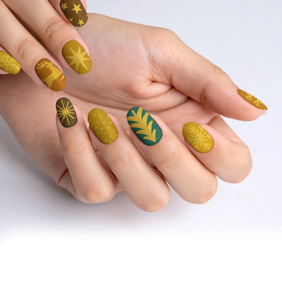 VIM_oval