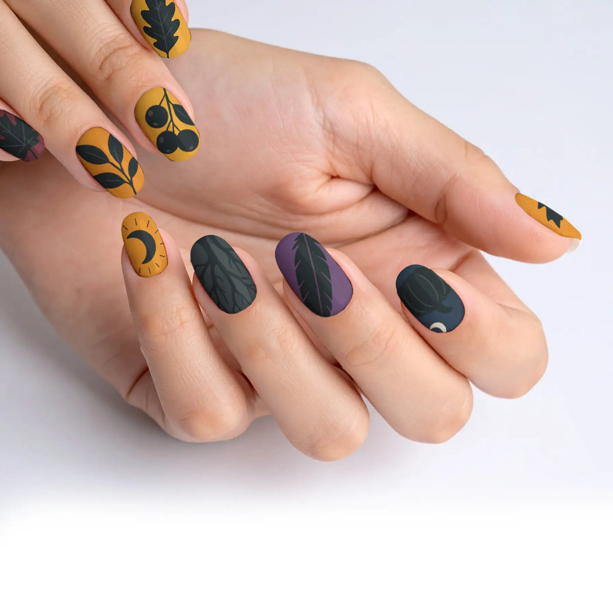 VIM_oval